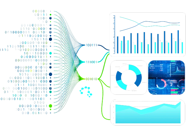 Advanced Reporting & Dashboards